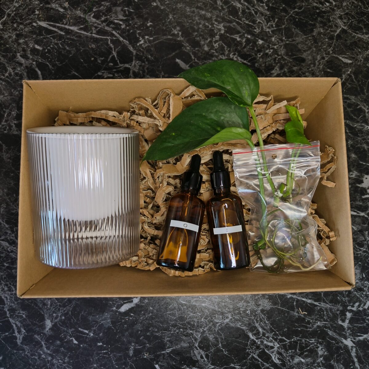 Hydroponický štartovací balíček: - Minerálny živný roztok I & O - Zakorenéná rastlina (Pothos Epipremnum, Tradescantia Zebrina) - Samozavlažovací kvetináč