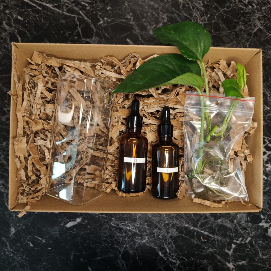 Hydroponický štartovací balíček: - Minerálny živný roztok I & O - Zakorenéná rastlina (Pothos Epipremnum, Tradescantia Zebrina) - Závesná hydroponická váza