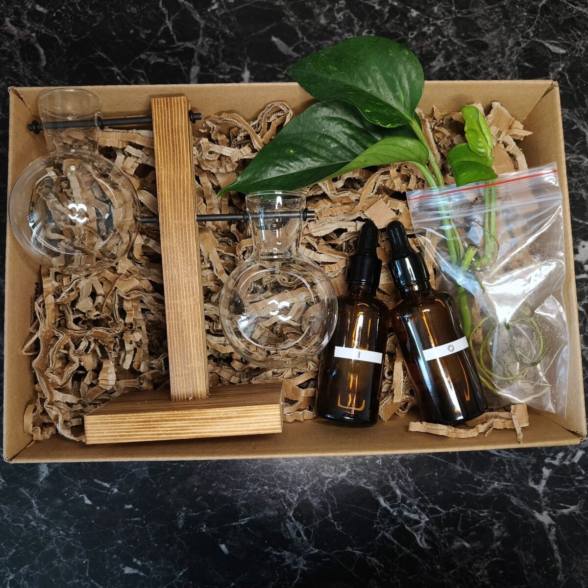 Hydroponický štartovací balíček: - Minerálny živný roztok I & O - Zakorenéná rastlina (Pothos Epipremnum, Tradescantia Zebrina) - Hydropponické sklené banky 2 ks