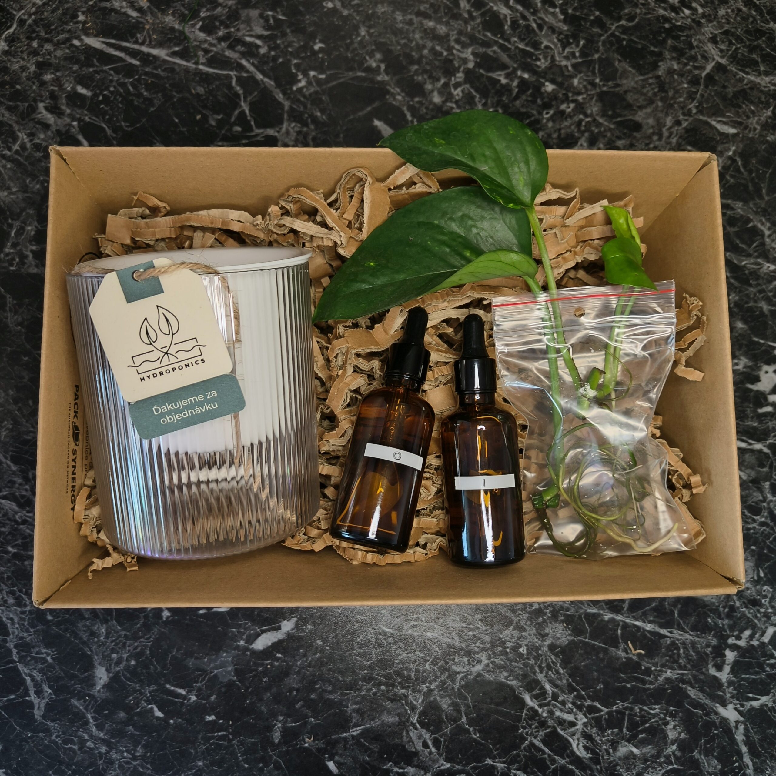 Hydroponický štartovací balíček: - Minerálny živný roztok I & O - Zakorenéná rastlina (Pothos Epipremnum, Tradescantia Zebrina) - Samozavlažovací kvetináč