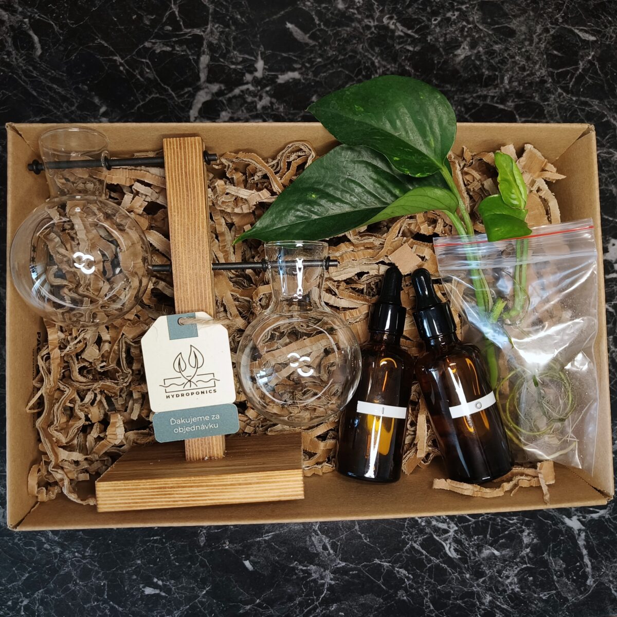 Hydroponický štartovací balíček: - Minerálny živný roztok I & O - Zakorenéná rastlina (Pothos Epipremnum, Tradescantia Zebrina) - Hydropponické sklené banky 2 ks
