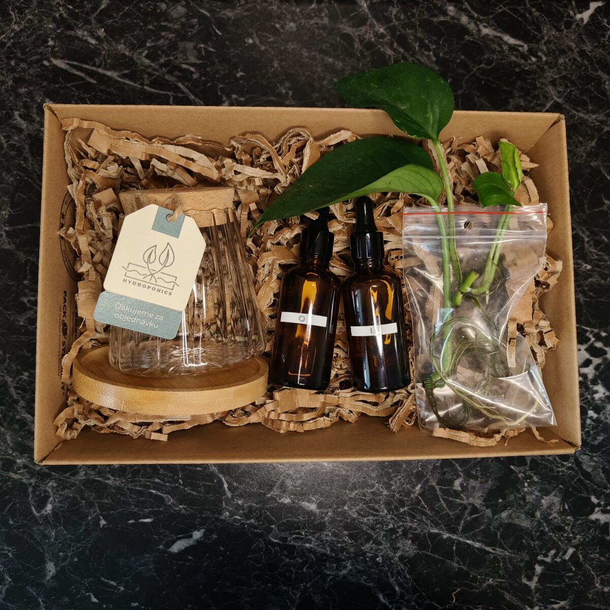 Hydroponický štartovací balíček: - Minerálny živný roztok I & O - Zakorenéná rastlina (Pothos Epipremnum, Tradescantia Zebrina) - Hydroponická sklená váza