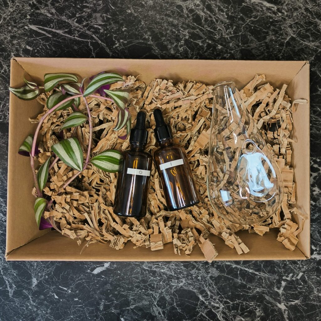Hydroponický štartovací balíček: - Minerálny živný roztok I & O - Zakorenéná rastlina (Pothos Epipremnum, Tradescantia Zebrina) - Závesná hydroponická váza